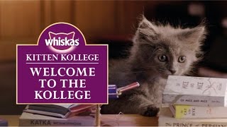 Whiskas