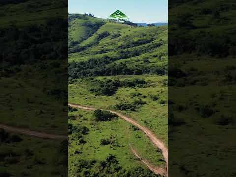 128 alqueires de oportunidades esperam por você no Norte Pioneiro do Paraná.