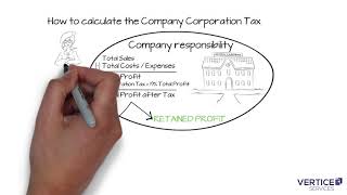 What is a private limited company by shares in the UK?