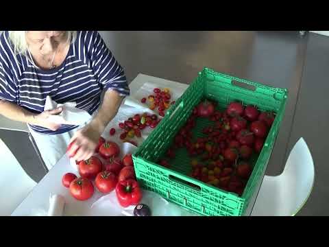 K-Treff  Lebensmittel verteilen, statt wegwerfen.