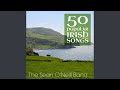 Medley: Spancil Hill / Galway Shawl / Roads Of Dildare / Eileen O'Grady