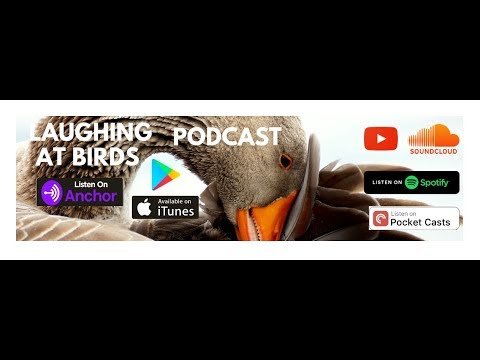 The Purist feat CasIsDead- Silian Braille (somebody explain this)