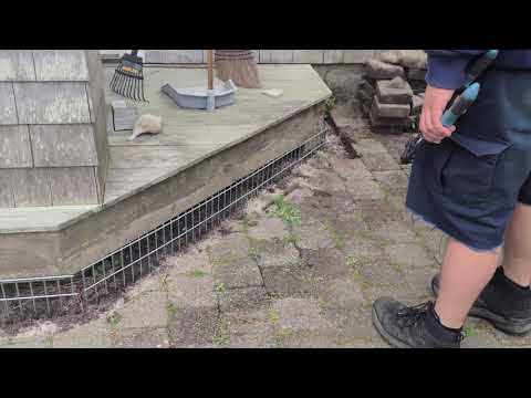 How Little Rascals Safely Removes a Raccoon from Underneath a Deck