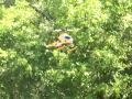 Larry Rogers Flies His Mongoose RC Helicopter Camp Chandler Tonsmyer Apr 16 2011