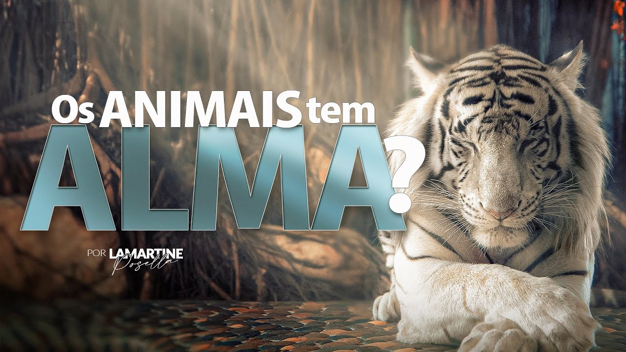 OS ANIMAIS TEM ALMA? | Eles vão para o céu? | Lamartine Posella