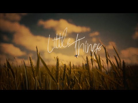 Lauren Alaina - Little Things (Lyric Video)