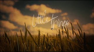 Download lagu Lauren Alaina - Little Things (Lyric Video) mp3
