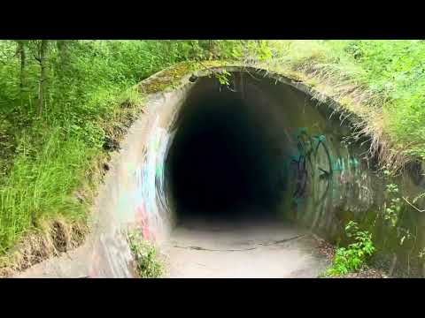 Chłapowo (wakacje 2023)