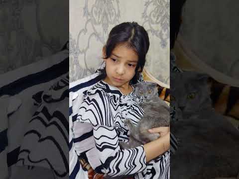 mubishsafo | Qiyin tanlov😅😂