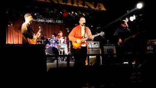 Video Pelican from the Marzipan