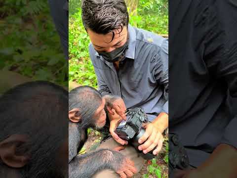 #wildlife #photography