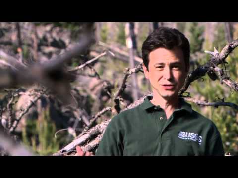 Yellowstone: A Natural Time Bomb