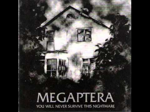Megaptera - The Drill