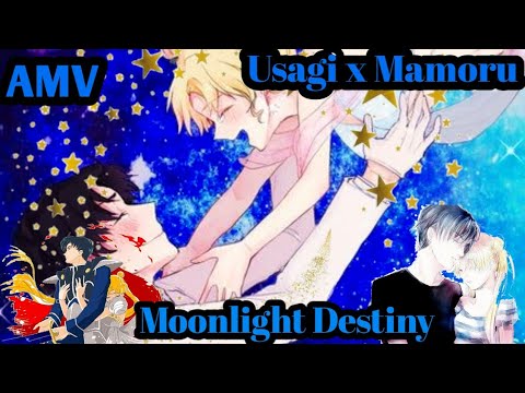 (Moonlight Destiny Sailor Moon)Usagi x Mamoru