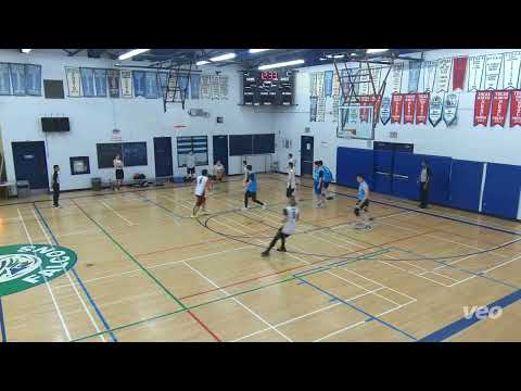 Blue Fire (33) tier 14 - 2023 SUMMER Starboyz (40) - tcbl sunday