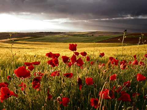 RITMO TRES-una rosa me habló