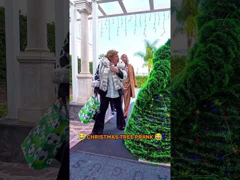 SCHERZO DELL'ALBERO DI NATALE #reaction #bushmanprank #scherzo #lol #viralvideos