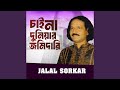চাই না দুনিয়ার জমিদারি