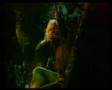 British Telecom It S For You Hoo Robin Hood UK Advert