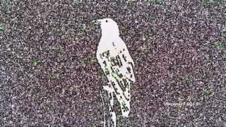 Gabriel I & Quinn Jerome - Trustfunders (Pavel Petrov Flute Mix) TULIPA062