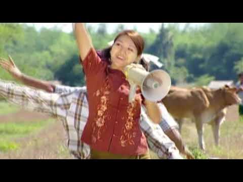 ကျောက်သင်ပုန်းတွေ မိုးထားတဲ့အိမ်