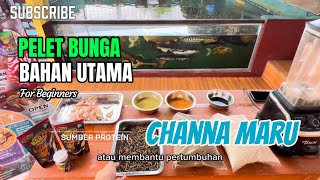Download lagu BAHAN UTAMA BUAT PELET BUNGA CHANNA MARU SHRIMPELET BARCA mp3