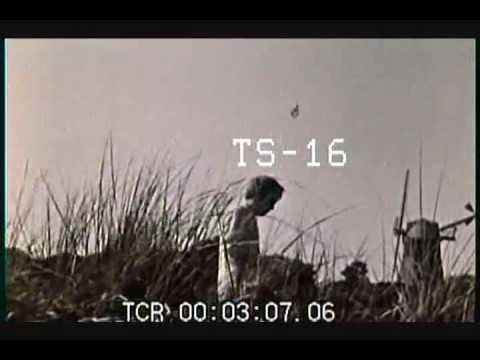 Windmills Of Your Mind (Original Video).... Noel Harrison (1968)