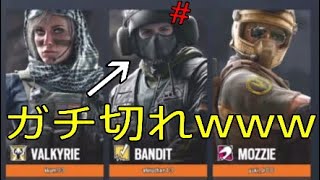 【R6S】アヒルちゃんガチ切れ案件