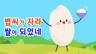 쌀 식문화 교육 특집 | 볍씨가 자라 쌀이 되었네!
