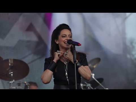 Dřevorockfest 2019 (Official Video)