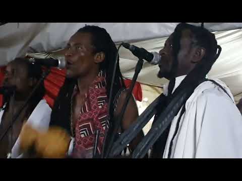 Mbira dzeNharira, Tadzungaira (Tozvireva Tingaputike neShungu), 2024