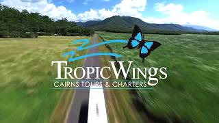 Tropic Wings || Tropical North Queensland
