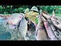 Traditional Fishing Skills Single Mother Catches Giant Fish With 200m Line In Fast Flowing Water