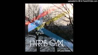 Harrys Gym - Brother