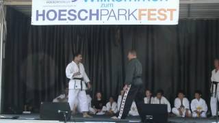 Hoeschparkfest 2012 - Karatevorführung - Teil 4 (alternativ)