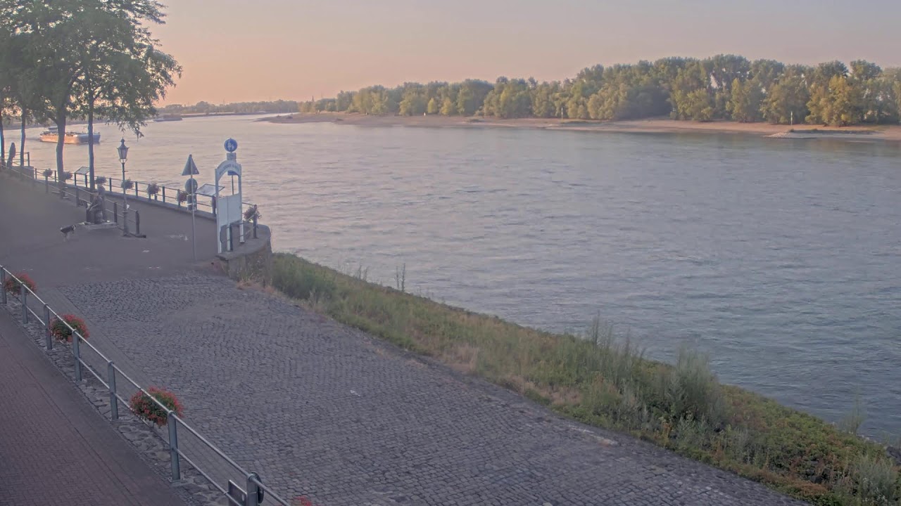 Live webcam view of Rhine Promenade at Rees