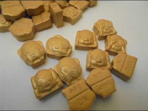 GOLDEN MONKEYS TECHNO SET