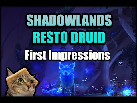 How Does Resto Druid Feel in Shadowlands Beta?