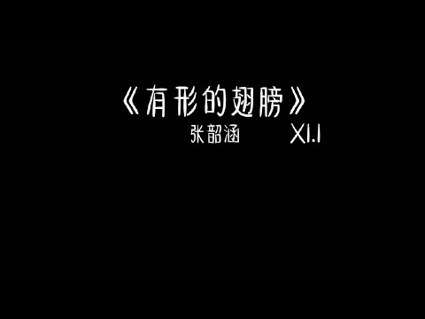 张韶涵 - 有形的翅膀 1.1x 抖音加速版「带着我抵挡 曾受过的伤」有字幕