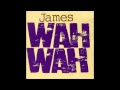 James & Brian Eno - Building a Fire (Wah Wah 1994)