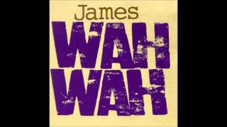 James &amp; Brian Eno - Building a Fire (Wah Wah 1994)