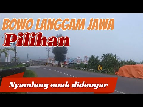 Bowo Langgam Jawa paling Nyamleng teman istirahat sambil lier lier