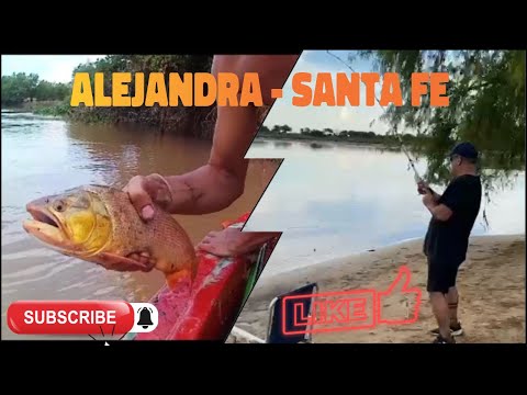 PESCA DE SURUBI  (Alejandra Santa Fe)