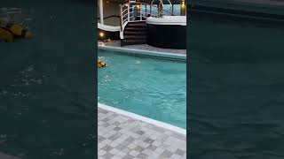 Recorded on pacific adventure, don’t go swimming in a cruise pool when you’re in rough seas!!!