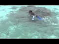 IMG 0104