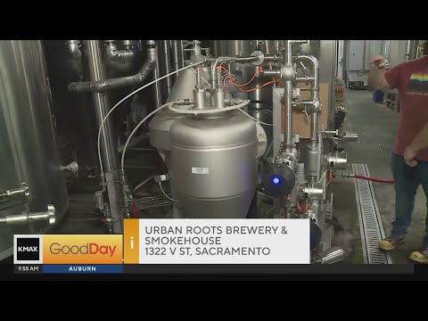 Behind the Scenes at Urban Roots Brewery