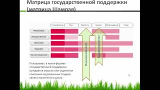 Матрица Шамрая (государственной поддержки)