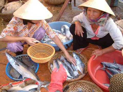 BCM301 - Tag You're It! Organizing Knowledge and Information