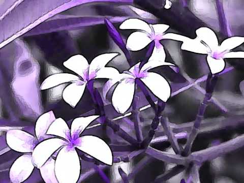 Ελένη Δήμου - Πάρε με (Eleni Dimou - Pare me)