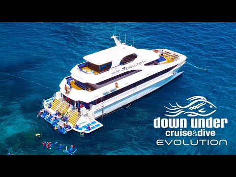 Reef Images & Videos | Great Barrier Reef | Reef Tours Cairns